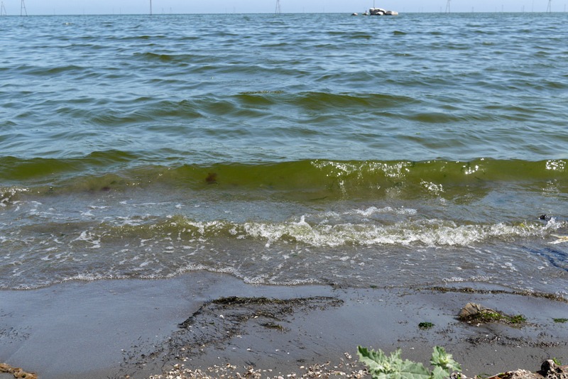 Закроют ли моря