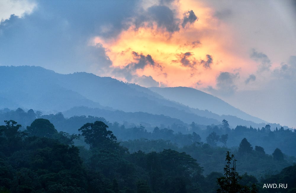 Коста-рика-обезьяны. Гонолулу климат. Климат в коста-рике. Средняя температура гонолулу по месяцам. Климат в дании по месяцам.